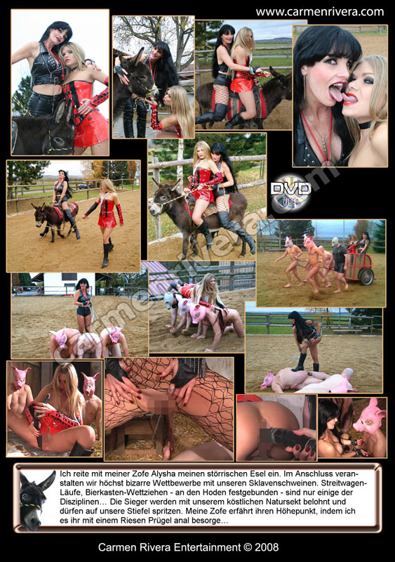 DVD "Donkey-Boy's Riding Lesson (Part 2)"