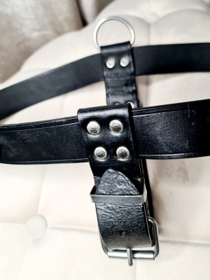 Dog Harness