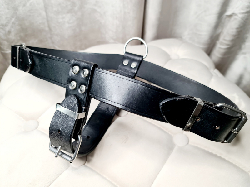 Dog Harness