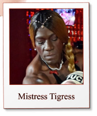 Mistress Tigress