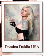 Domina Dahlia USA